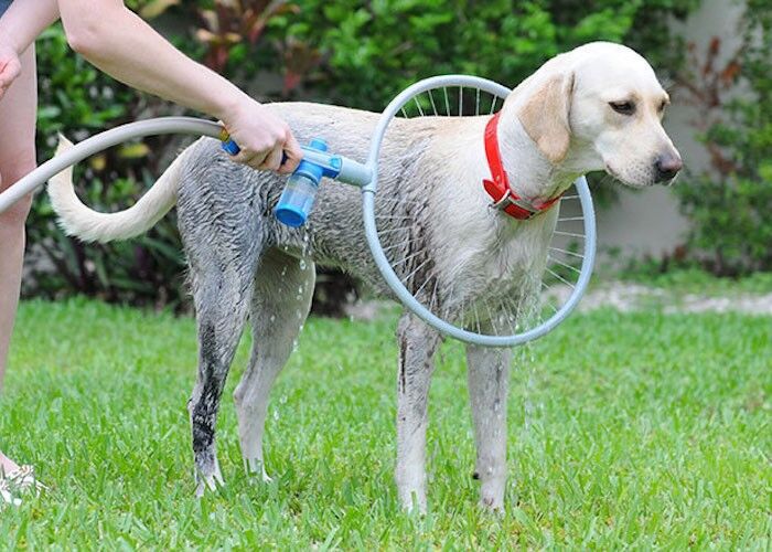 Fully Automatic 360 Degree Pet Bath Ring - Petz Fun