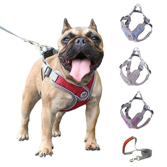 Pet Strap Collar Traaction Rope - Petz Fun