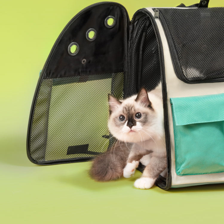 Takeaway Cat Out Bag - Petz Fun